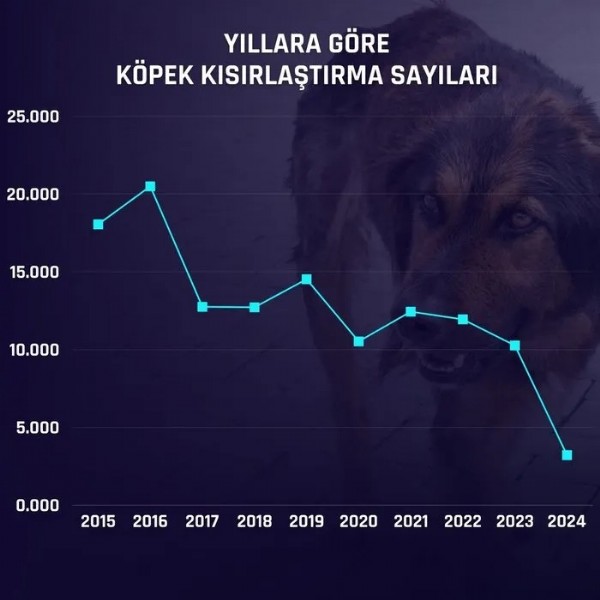CHP'nin hayvanseverlik algısı çöktü: Sokak hayvanları için tek bir barınak bile inşa etmediler!
